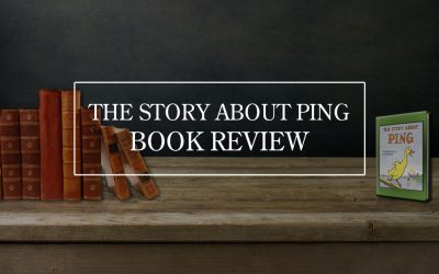 The Story About Ping